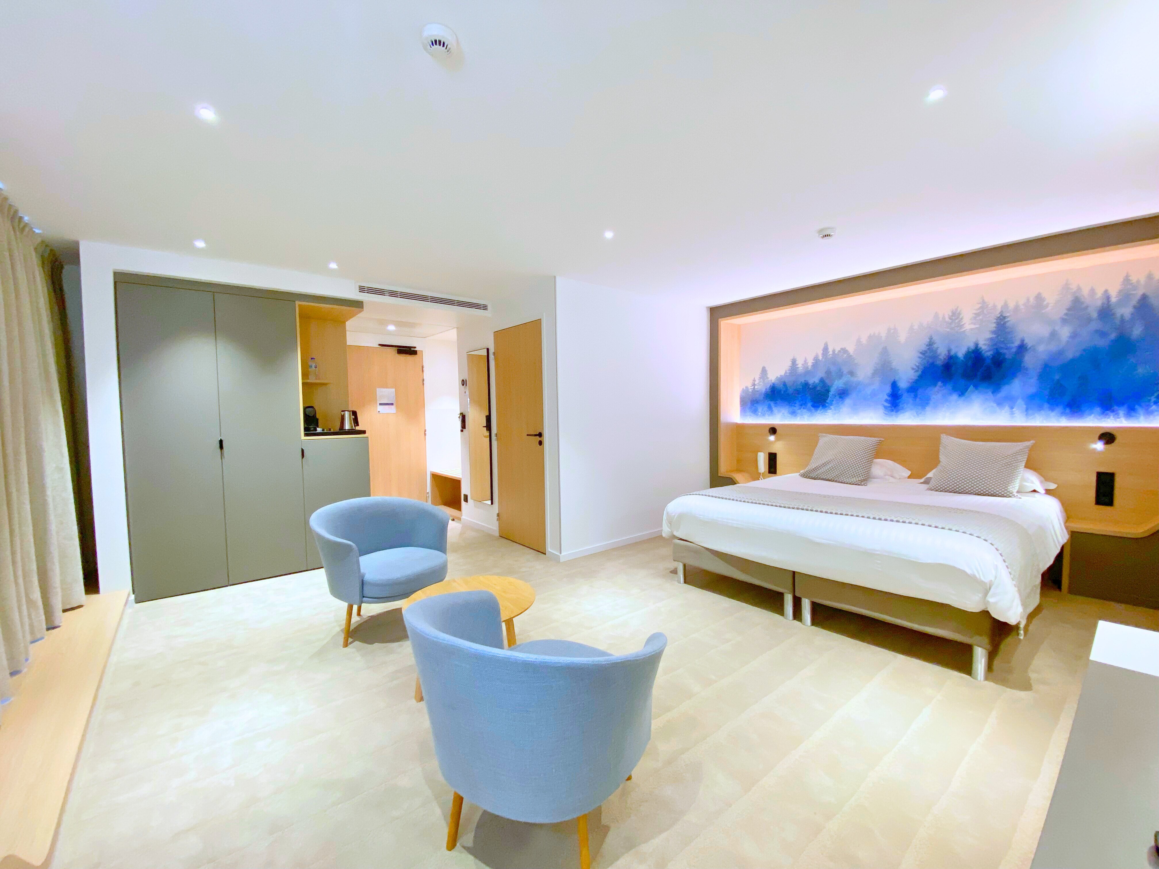 Brit Hotel Piscine & Spa - Fougères-客卧
