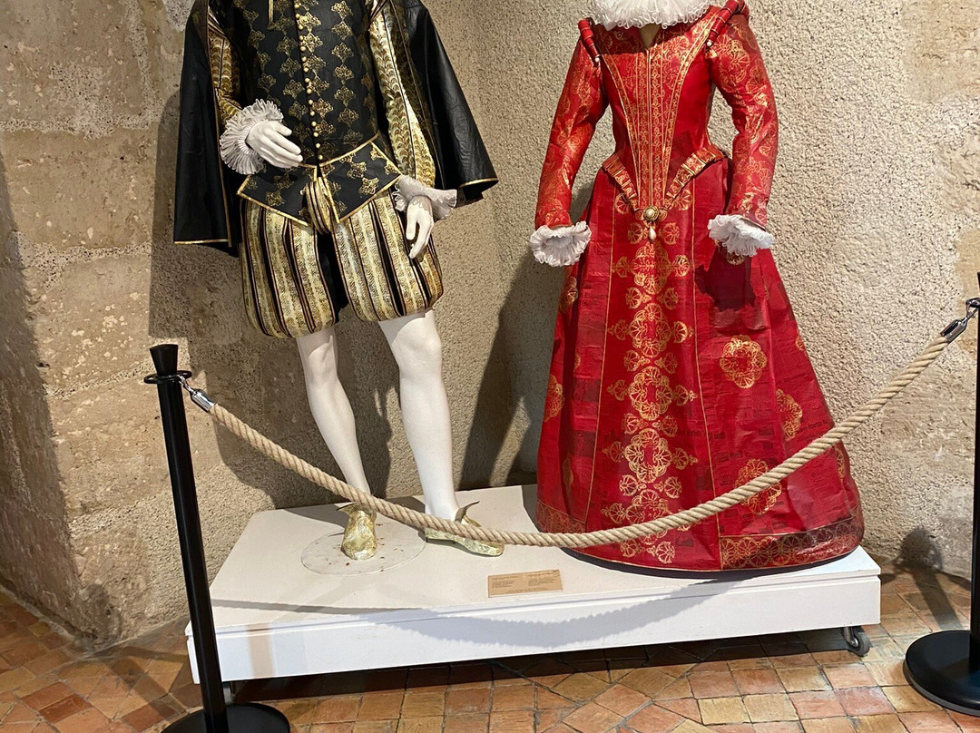 Château-Musée Henri IV景点图片