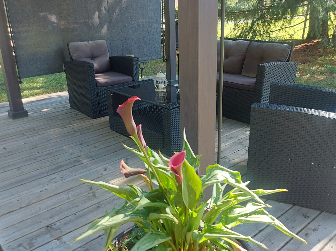 Old Towne Inne Chuckwagon Bar & Grill主图