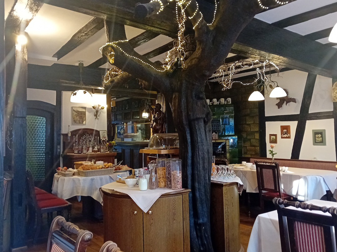 Zum Grunen Baum主图