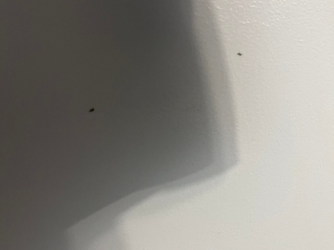 M-22 Inn Glen Arbor主图