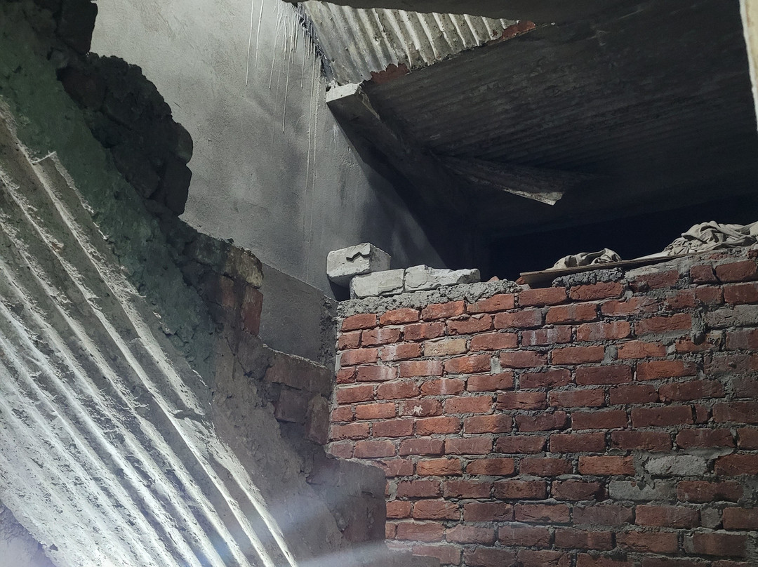 Hotel Alpine View主图