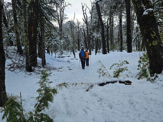 GoPucon Turismo Aventura-普孔必去景点