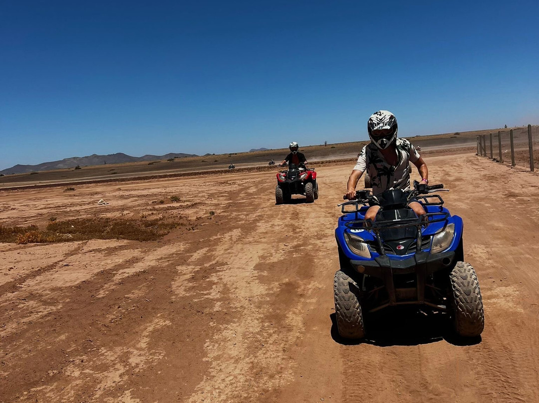Best Quad Marrakech景点图片