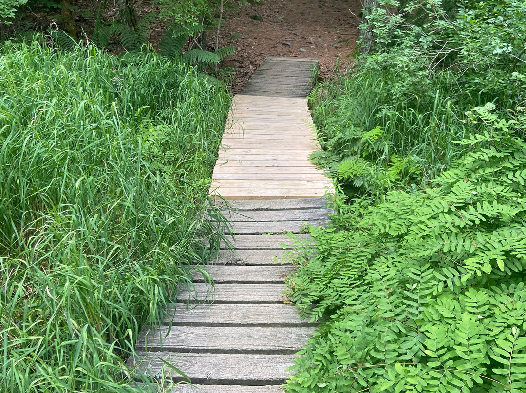 Pulpit Rock-East Burke必去景点