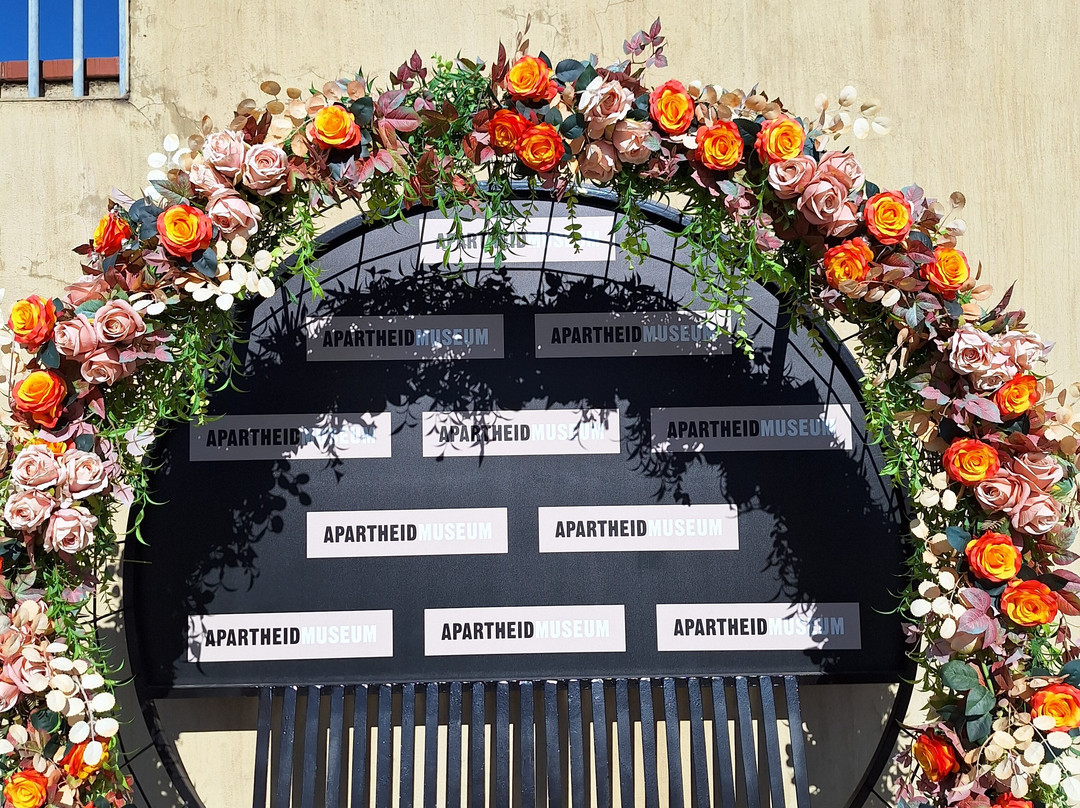 Shane Gouldie-约翰内斯堡必去景点