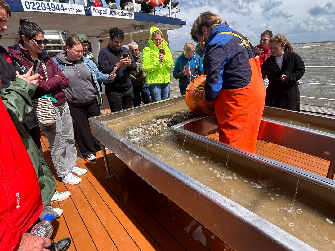Expeditie Waddenzee景点图片