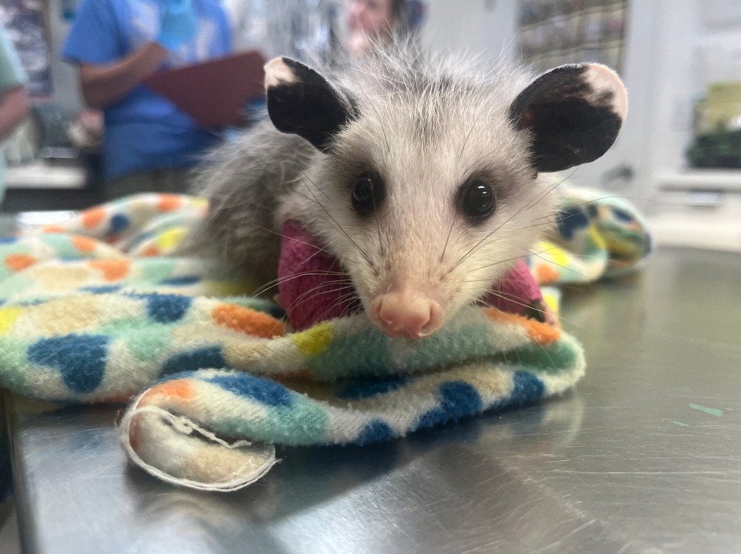 Howell Nature Center-Howell必去景点