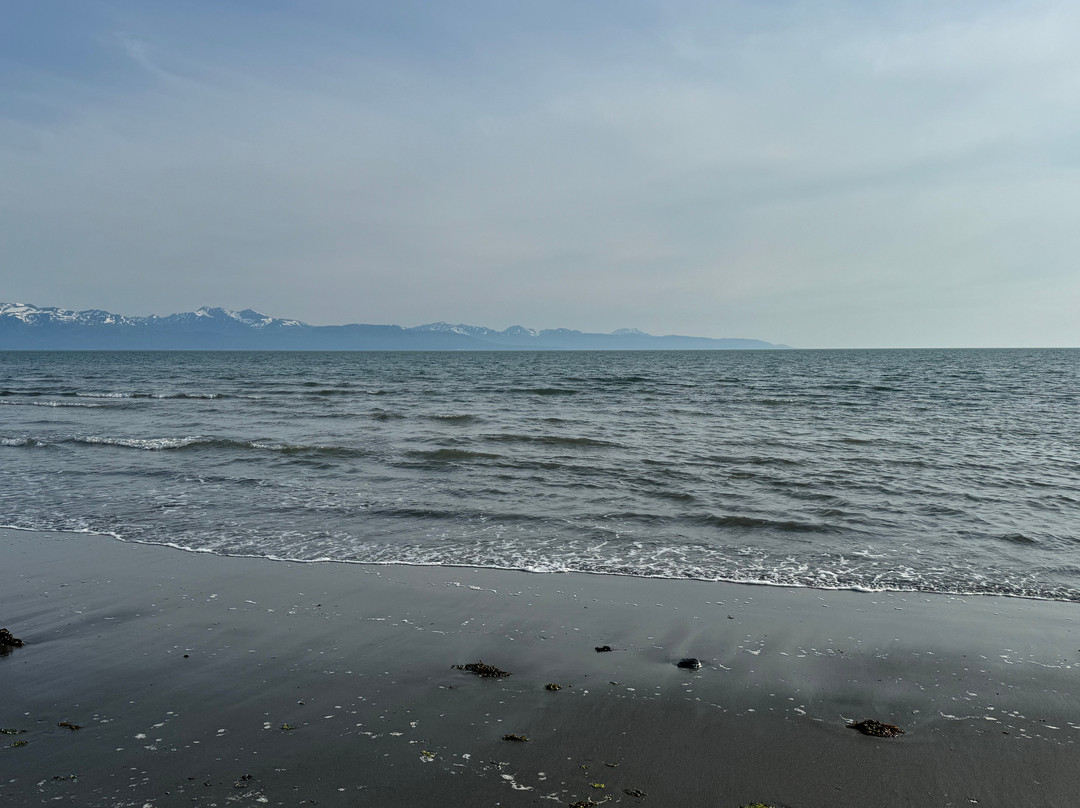 Bishop's Beach Park-荷马必去景点