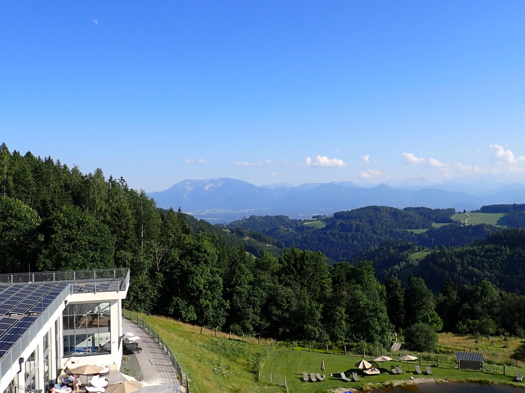 Gasthof Hotel Petschnighof主图