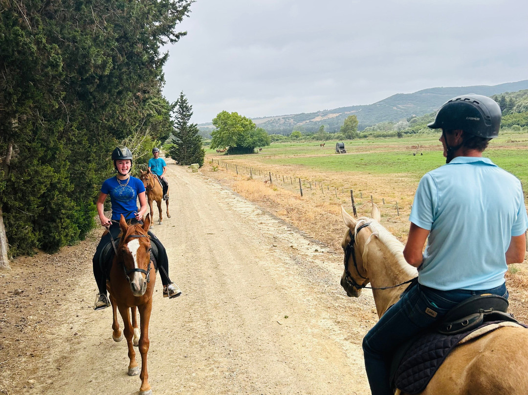 E3 Endurance Equestrian Experience景点图片