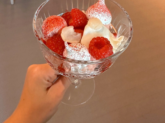 Terra At Rockcliffe Hall, Darlington