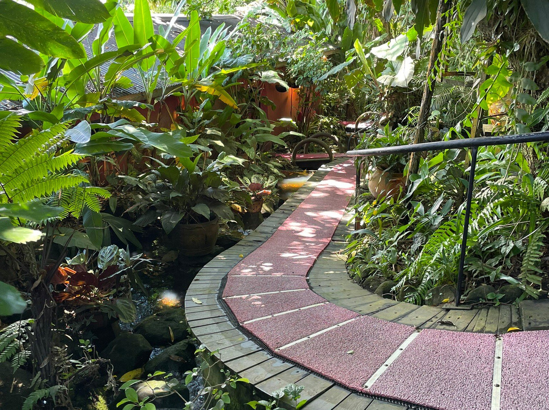 Spa Tendacayou-Deshaies必去景点