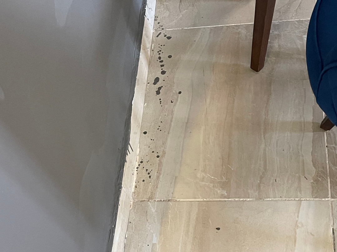 TOLIP North Coast Hotel & Resort主图