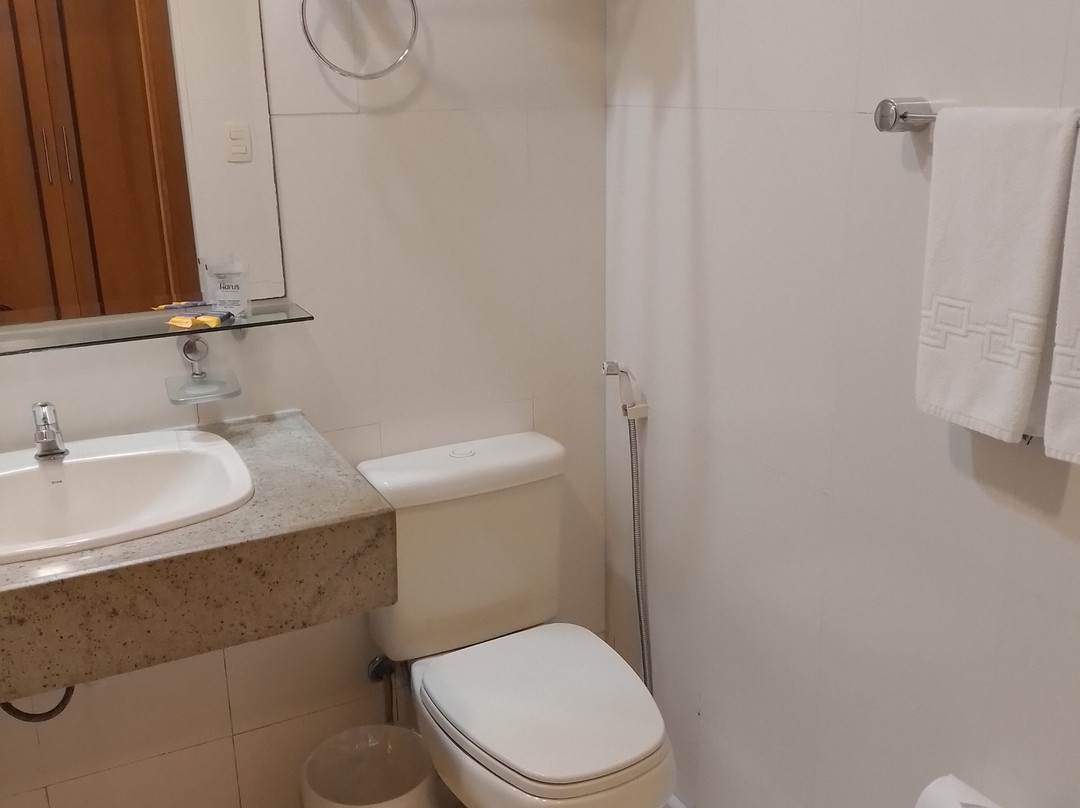 Comfort Hotel Manaus主图