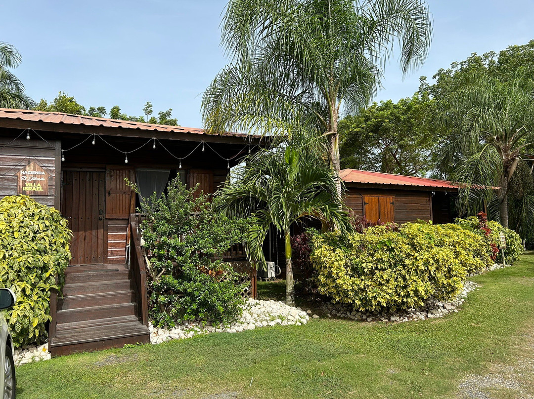 Hacienda El Jibarito主图