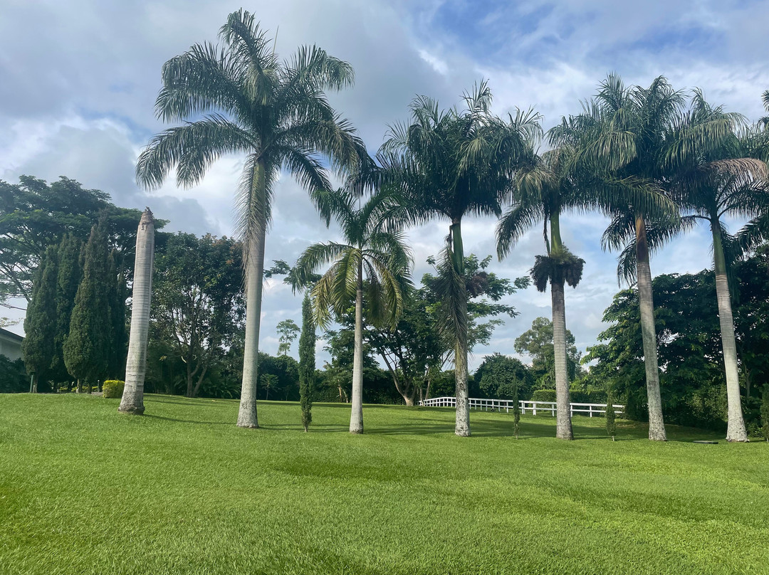 Hotel Campestre Cafe Cafe主图