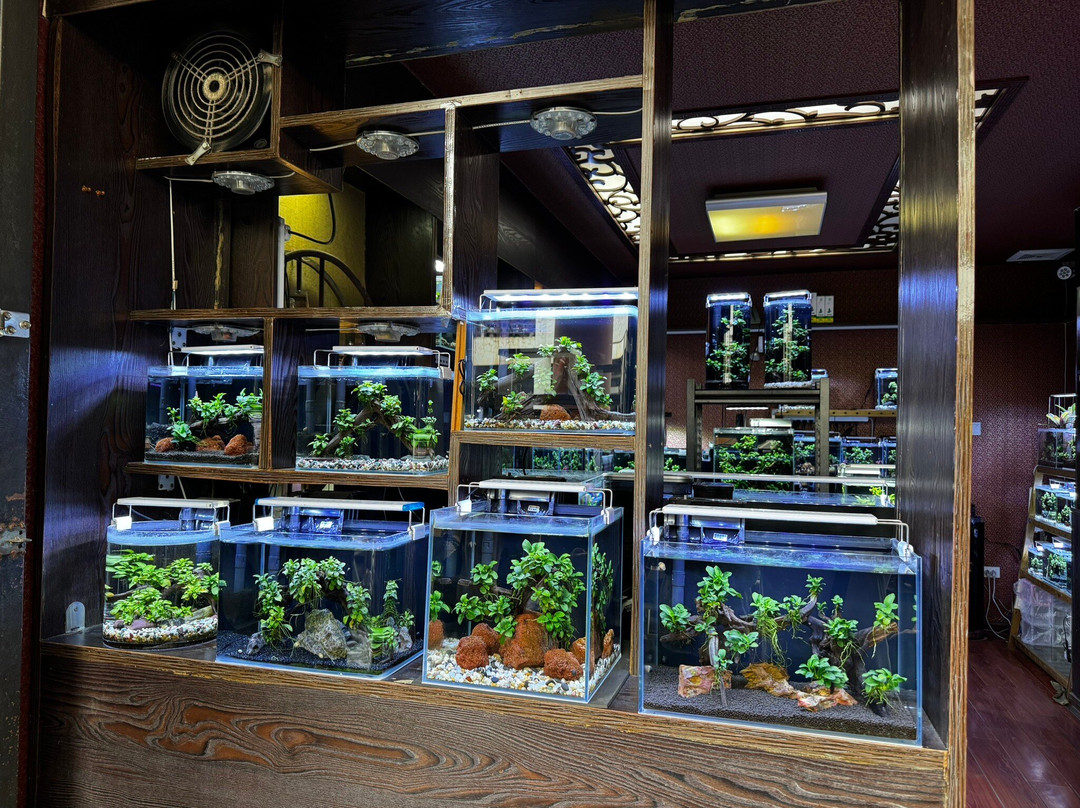 昆明白龙花鸟市场-昆明市必去景点