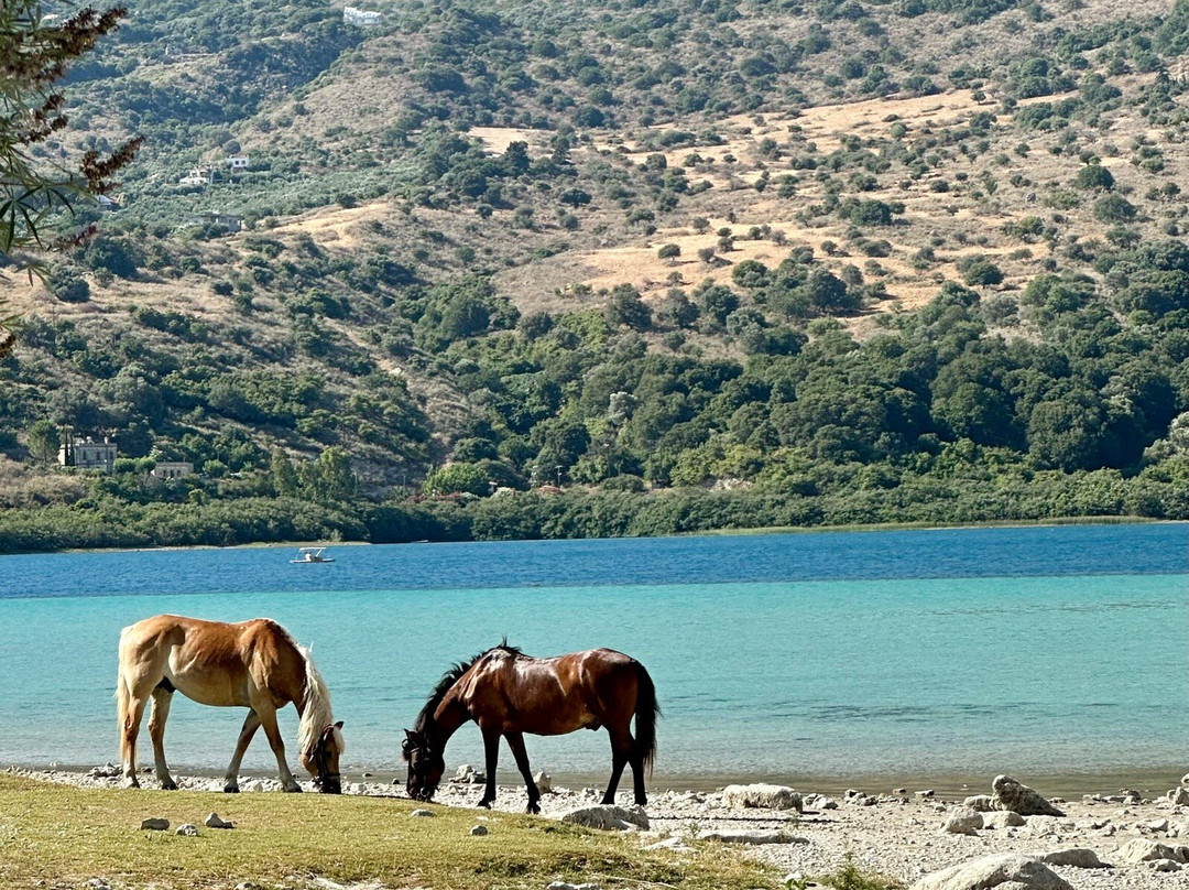 Zoraida's Horse Riding景点图片
