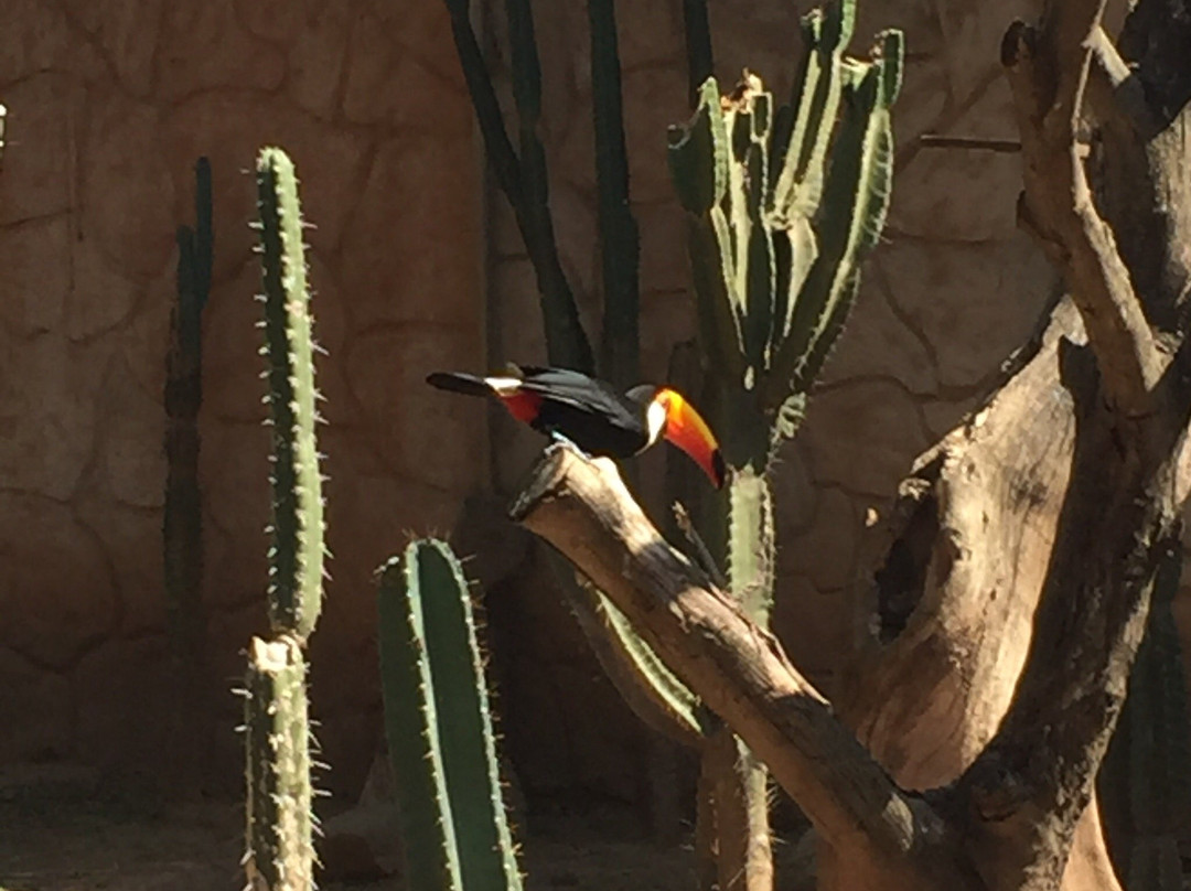 Parque Nacional Noel Kempff Mercado-圣克鲁斯省必去景点