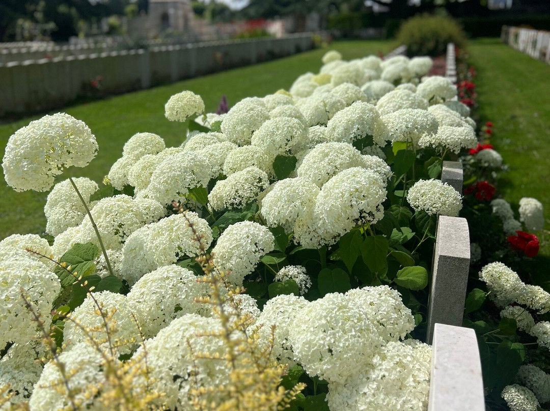 Longuenesse Saint Omer Souvenir Cemetery景点图片