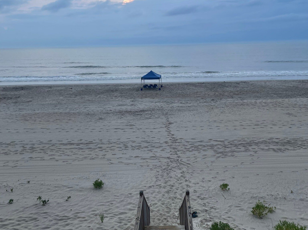 Farmdog Beach Services-纳格斯海德必去景点