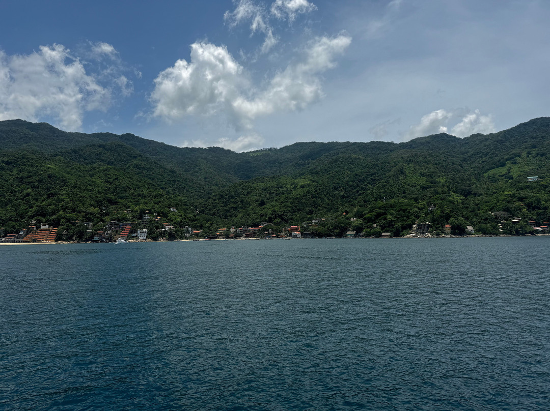 Gray Line Puerto Vallarta景点图片