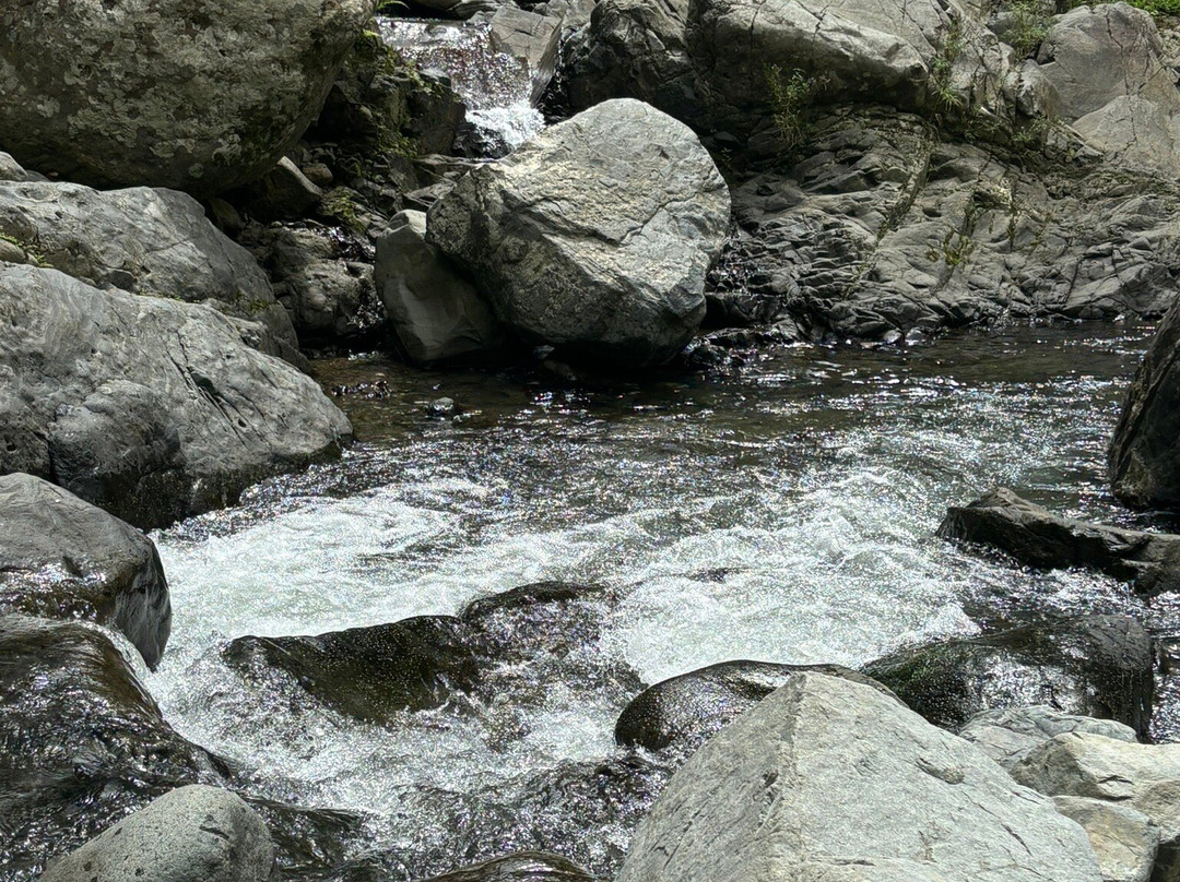 Hacienda Negron主图