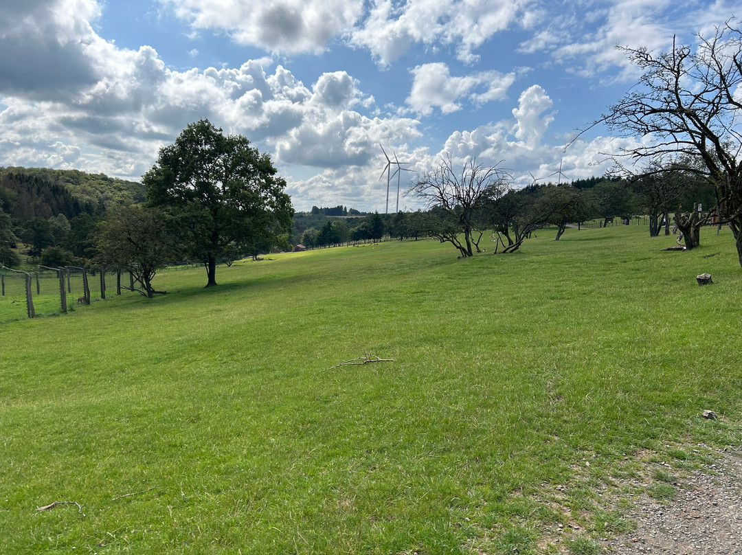 Naturwildpark Freisen-Freisen必去景点