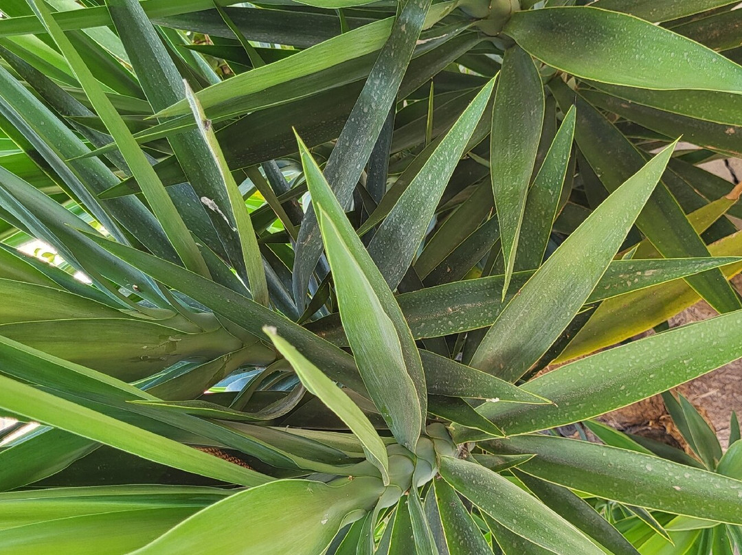 Marva Apartments-Studios主图