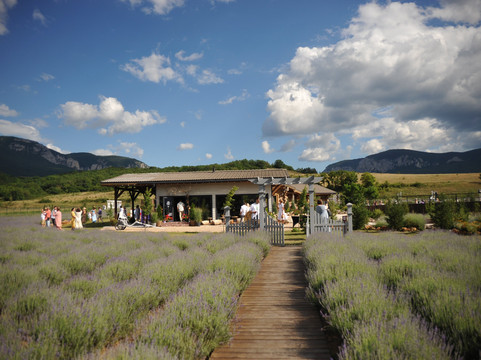 Viva Lavanda Organic Farm-Aromat必去景点