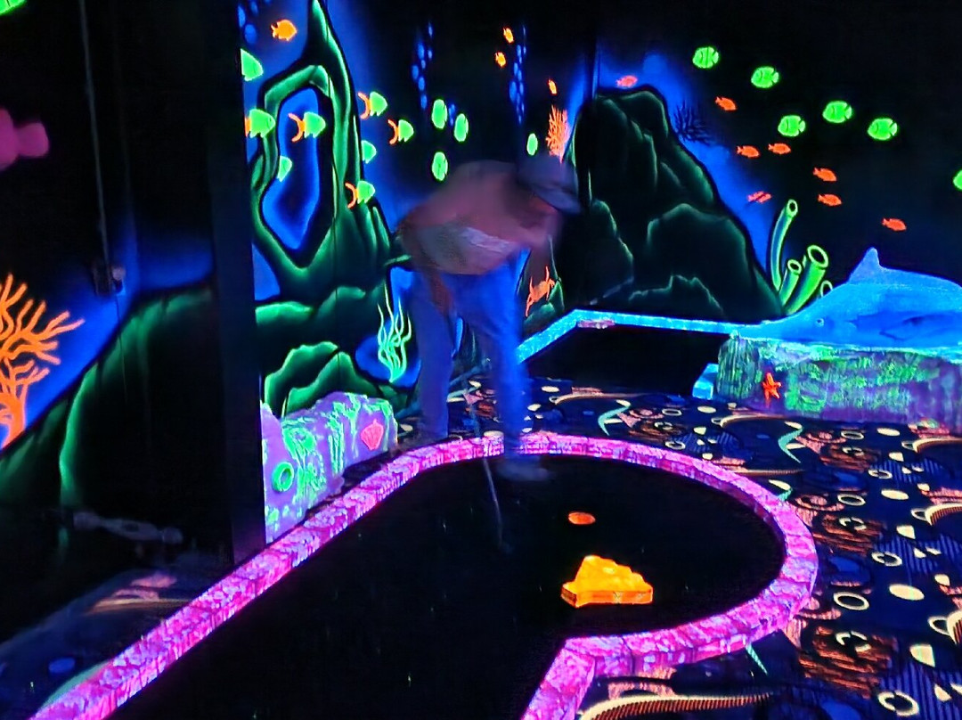 Vakantiepark De Krim Texel主图