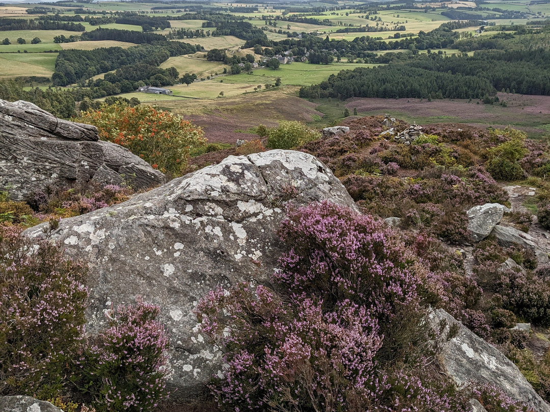 The Drake Stone-Harbottle必去景点