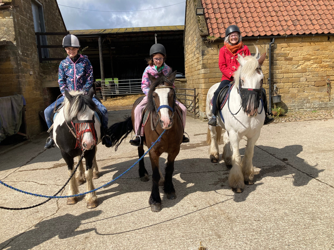 Boltby Pony Trekking-瑟斯克必去景点