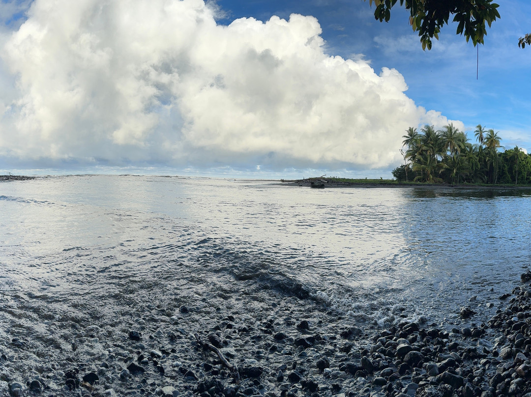 Pacheco Tours-德雷克湾必去景点