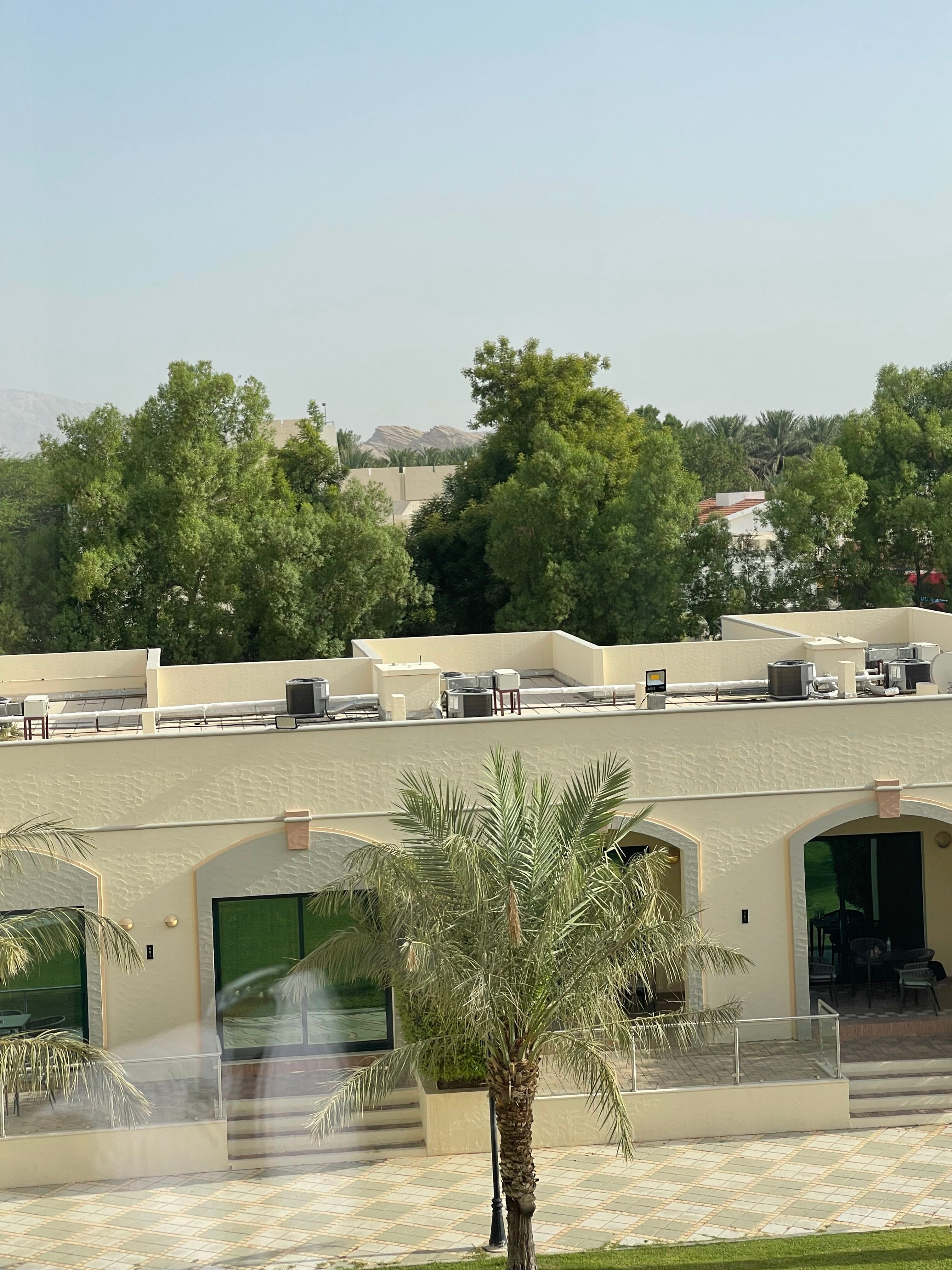 Al Ain Rotana-酒店景观