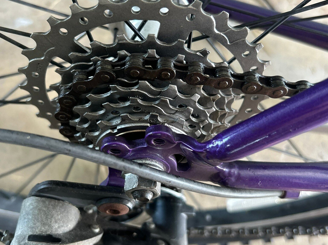 Andante Bikes-Cutler Bay必去景点