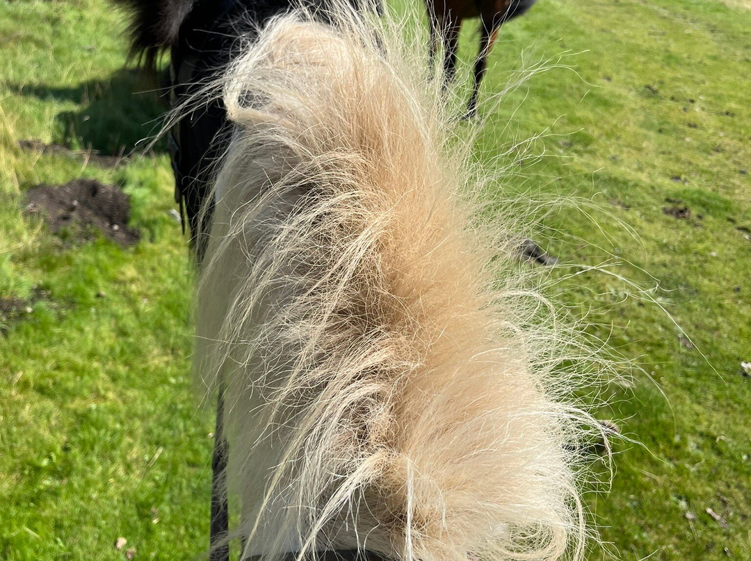 Kilnsey Trekking & Riding Centre景点图片