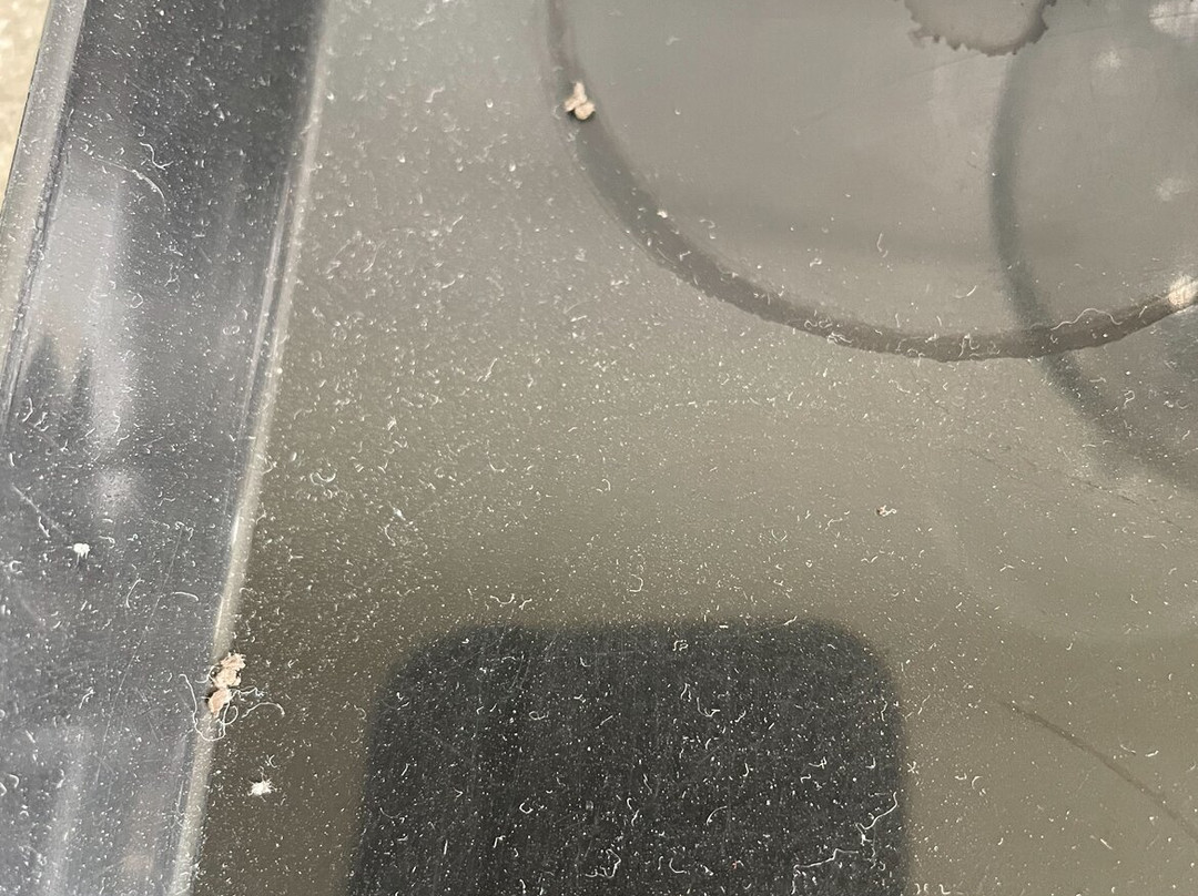 The Grapevine Motel主图