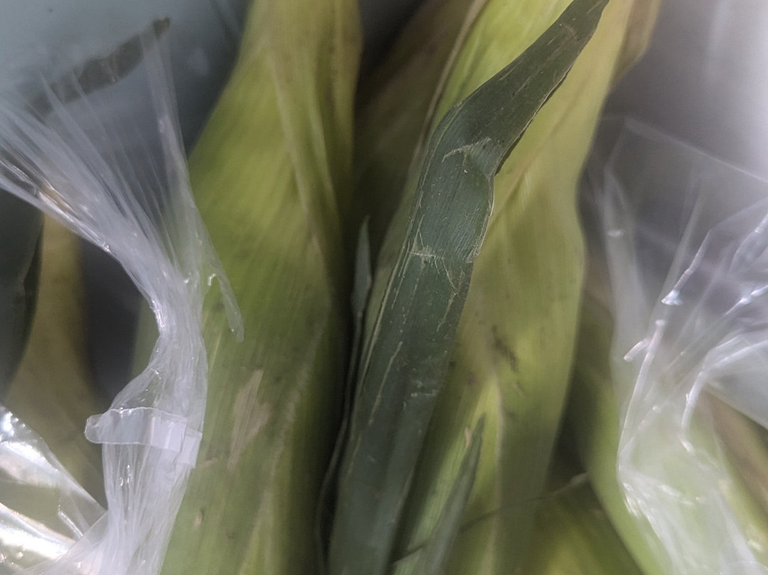 Cranston Farms-安卡斯特必去景点