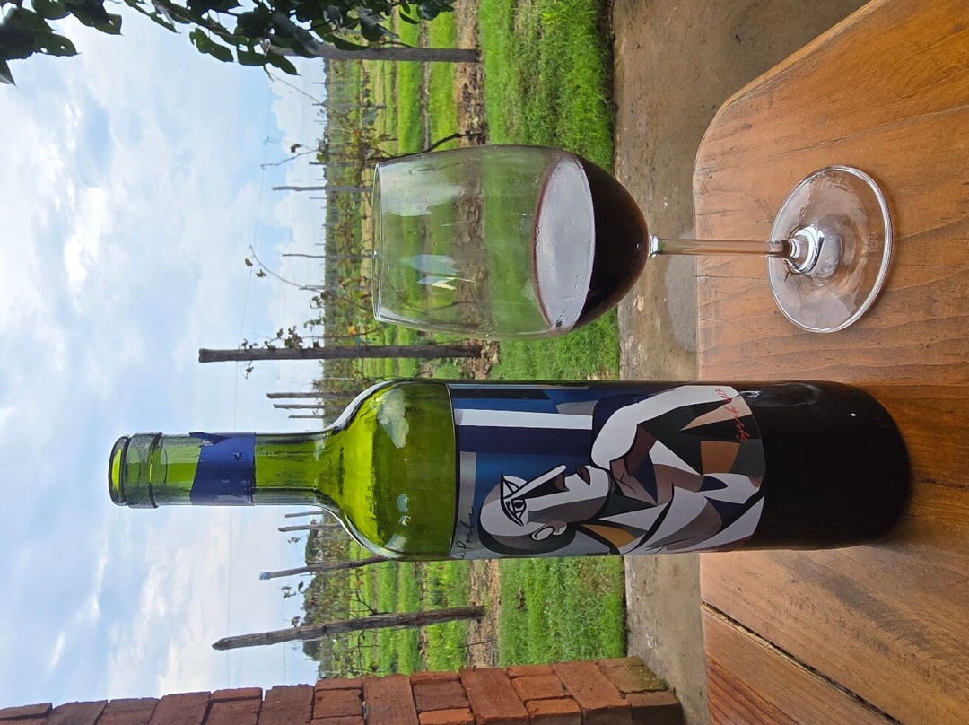 Viñedo Meseta Del Cielo-Jala必去景点