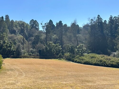 Benvie Garden-豪威克必去景点
