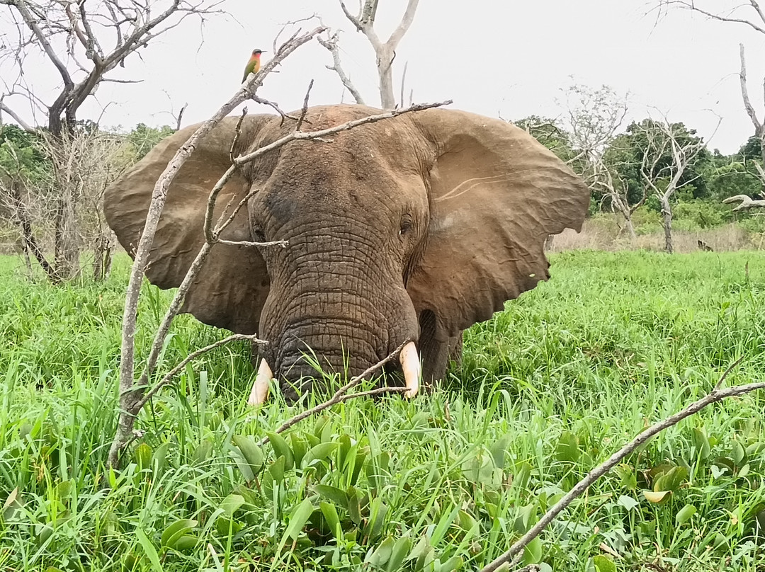 Skyplus Aviation And Travel Uganda-恩德培必去景点