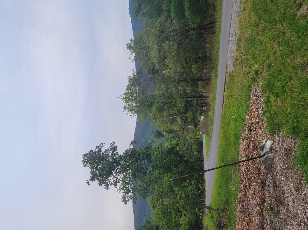 Riedlbauer's Resort主图