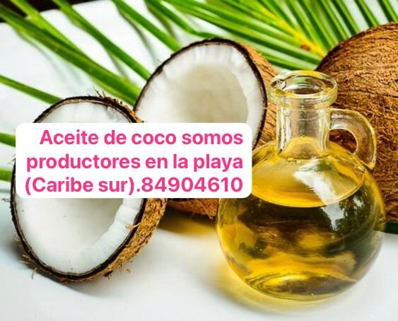 Aceite De Coco El Más Buscado景点图片