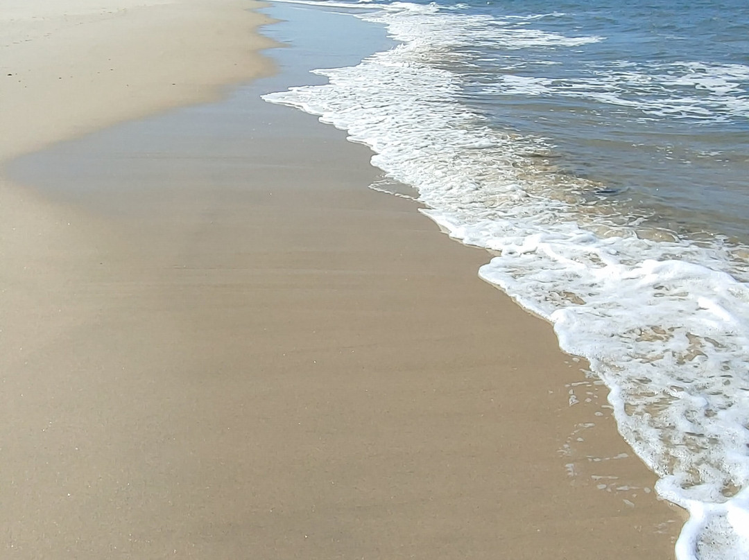 Praia do Cabedelo景点图片