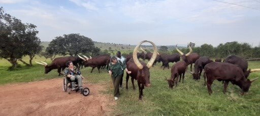 Wild Expeditions Uganda-恩德培必去景点