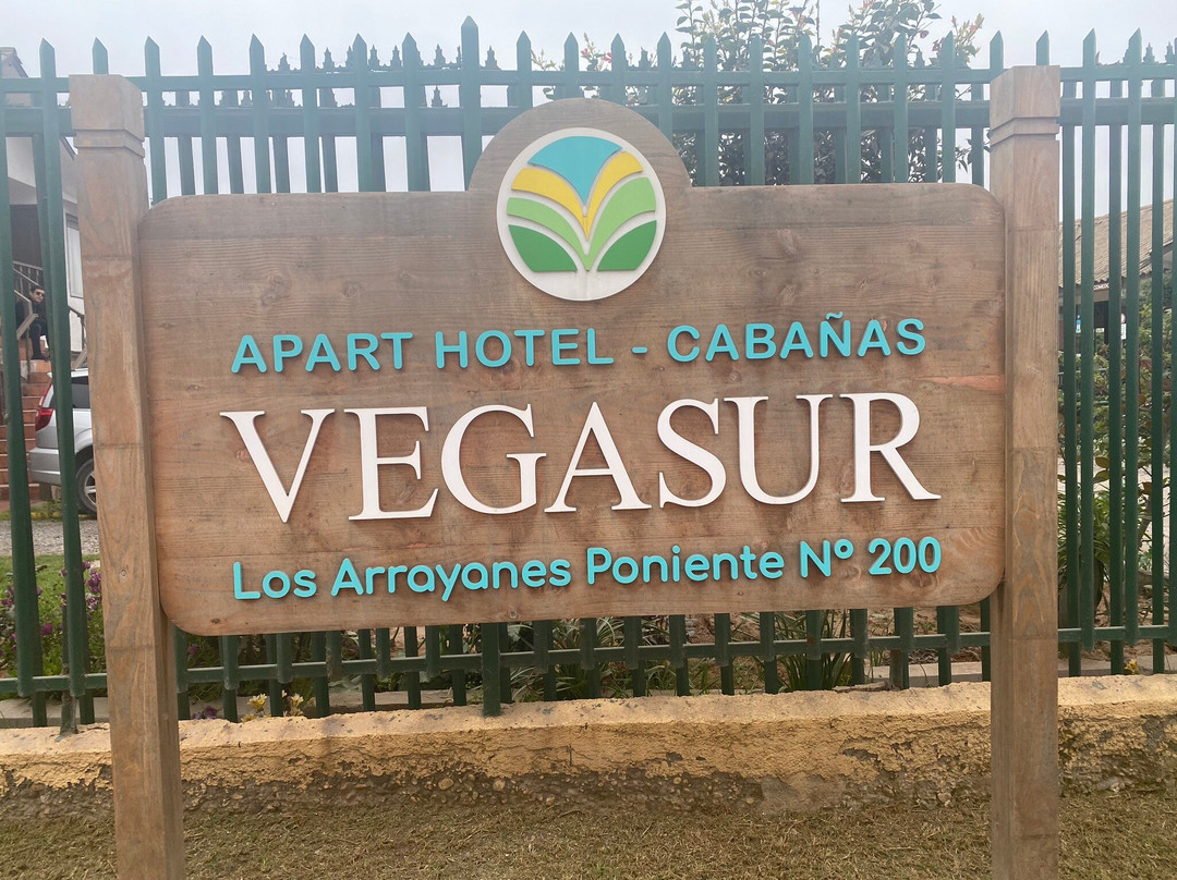 Aparthotel Y Cabañas Vegasur主图