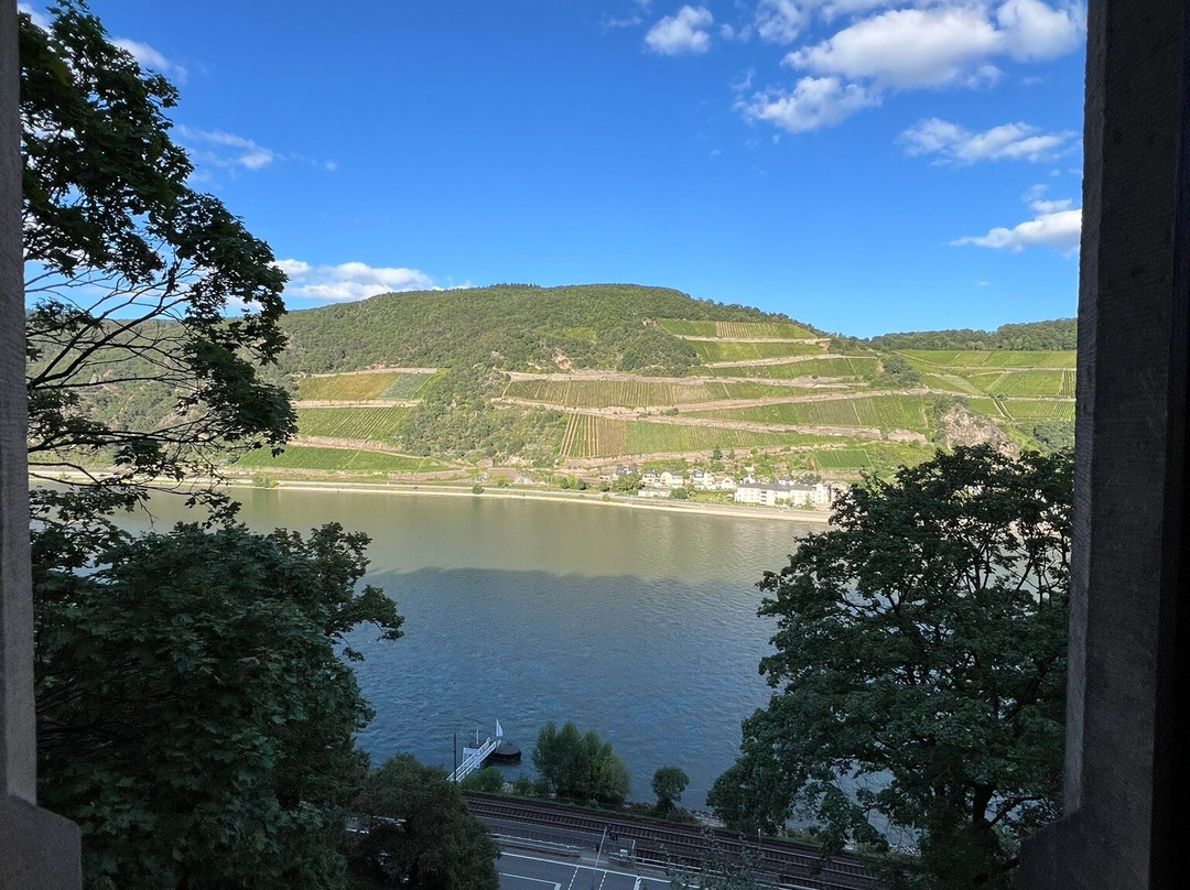 Burg Rheinstein景点图片