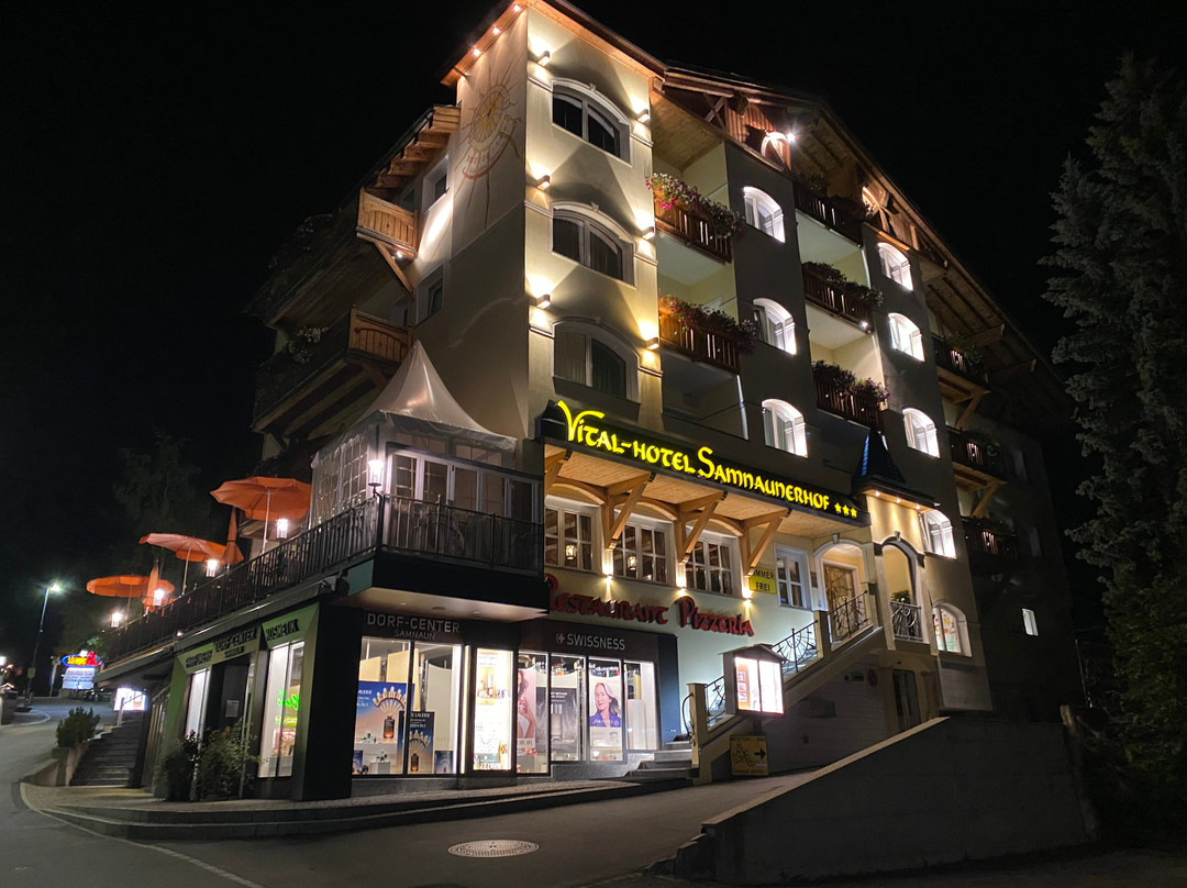 Samnaunerhof Vital-Hotel主图